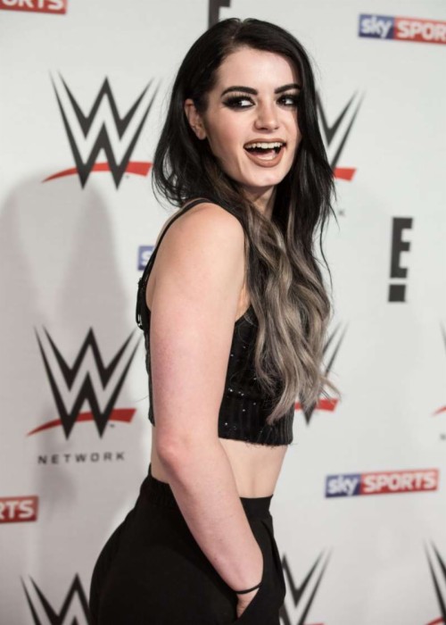 Paigeverified Account - Sexy Hot Wwe Paige (#1714066) - HD Wallpaper ...