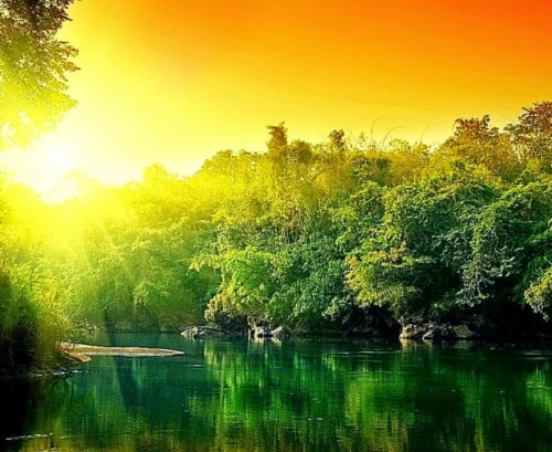 Nature Wallpaper Hd Download For Android Mobile (#435540) - HD