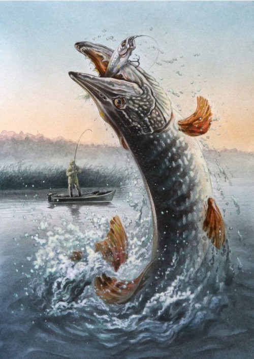 Paintings Of Pike - Northern Pike (#1719704) - HD Wallpaper ...