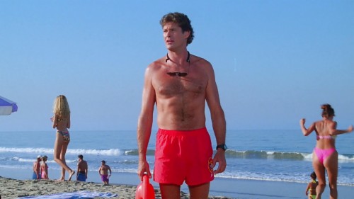 David Hasselhoff Wallpaper - David Hasselhoff Baywatch (#1752149) - HD ...