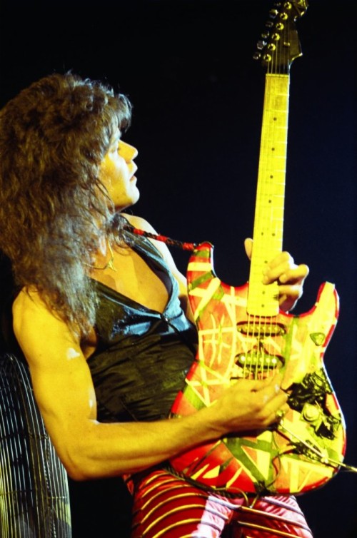 Featured image of post Eddie Van Halen Hd Wallpaper If you need to know various other wallpaper