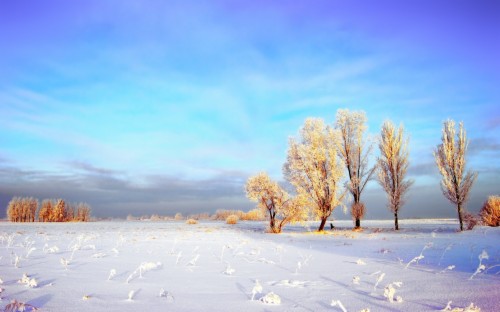 Cozy Winter Wallpaper - Winter Landscape (#1903150) - HD Wallpaper ...