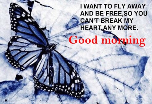 Good Morning Quotes With Butterfly Wallpaper Pictures Broken