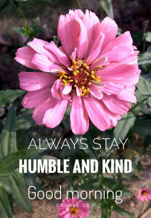 Always Stay Humble And Kind Good Morning - Good Morning Be Kind ...