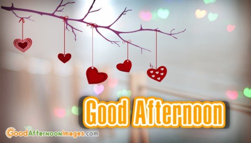 Good Afternoon Images Hd (#1880098) - HD Wallpaper & Backgrounds Download