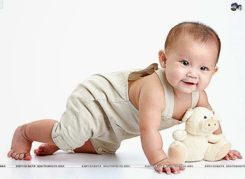 view-original-size-6-9-months-baby-192186-hd-wallpaper