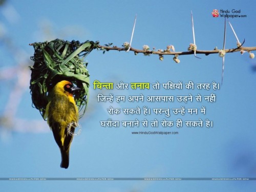 Suvichar In Hindi Wallpapers Images Free Download Bird Nest