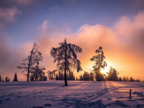 Winter, Sunset, Clouds, Forest, Cottage, Snow, Cold, - Norway Winter ...