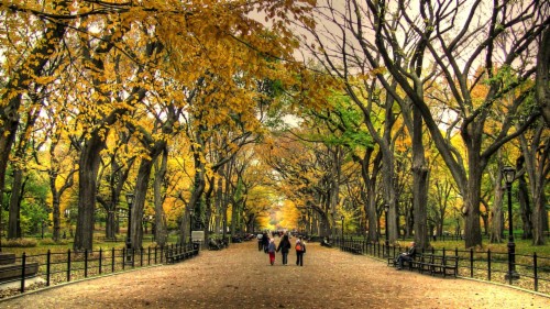 Related Wallpaper For Hd Wallpaper Park - Central Park Cool (#1970239 ...