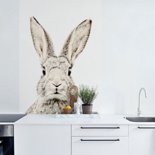 Previous - Drawing Of A Rabbit Head (#2012350) - HD Wallpaper
