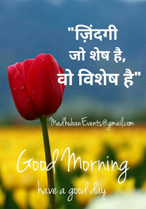 Motivational Quotes Good Morning In Hindi With Gud Gud
