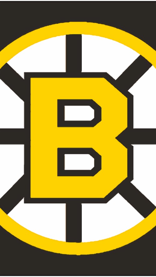 Boston Bruins Wallpaper - Cool Boston Bruins Logo (#2024473) - HD ...