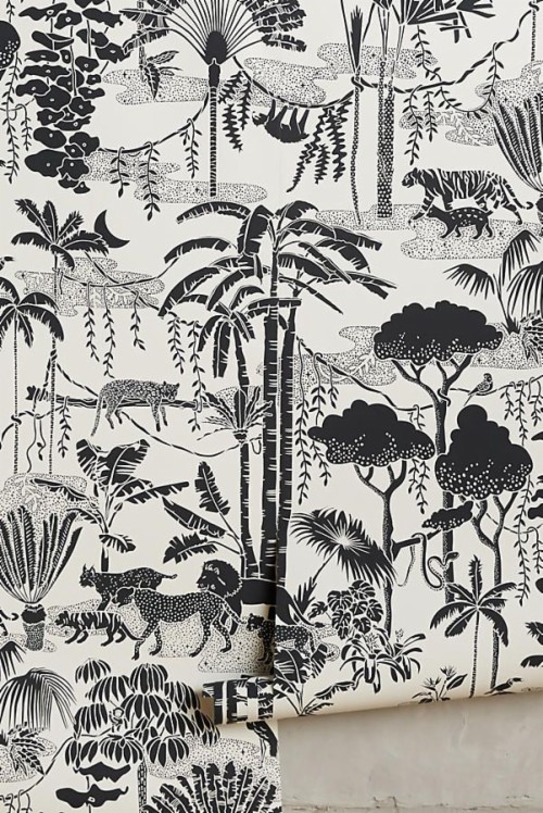 Jungle Dream Wallpaper - Aimee Wilder Jungle Dream (#2033417) - HD ...