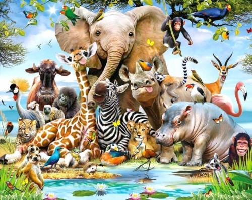 Endangered Rainforest Animals Wallpaper - Real Life Jungle Animals ...