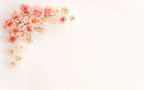 Featured image of post Aesthetic Roses Wallpaper Laptop Tons of awesome pink aesthetic laptop wallpapers to download for free