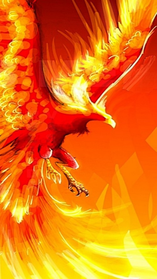 4K wallpaper: Phoenix Bird Hd 1080p Wallpapers