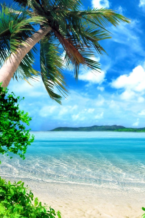 Tropical Paradise Beach 4k Hd Desktop Wallpaper For - Beach Paradise ...