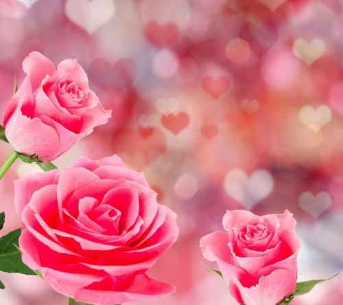 List Of Free Hearts And Flowers Wallpapers Download Itl Cat