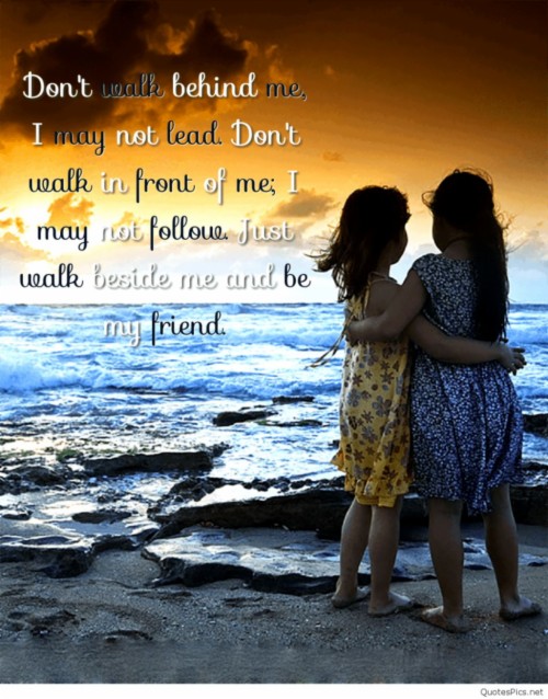 Friendship Quotes Images Hd Download Friends Are Like - Wise Word About ...