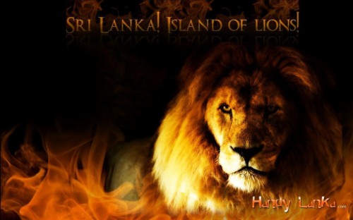 My Sri Lanka Wallpapers To Download Sri Lankan Flag With Lion