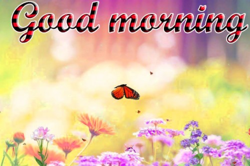 Whatsapp Good Morning 3d (#2316549) - HD Wallpaper & Backgrounds Download