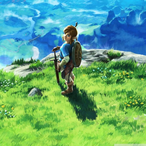 Zelda Botw Wallpaper Iphone (#2389833) - HD Wallpaper & Backgrounds ...