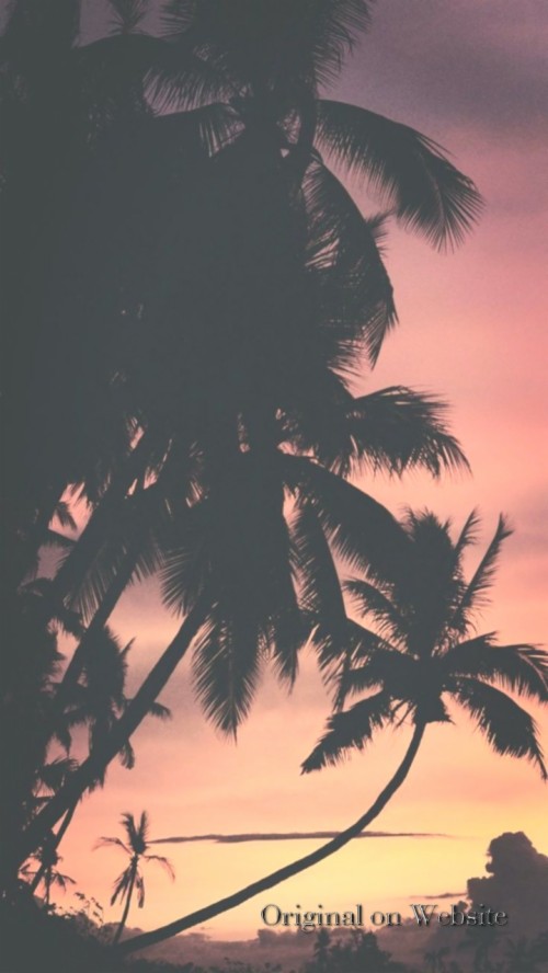 Iphone Wallpaper 4k Nature Summer Ocean Sunset Iphone Wedding Invitation 241866 Hd Wallpaper Backgrounds Download