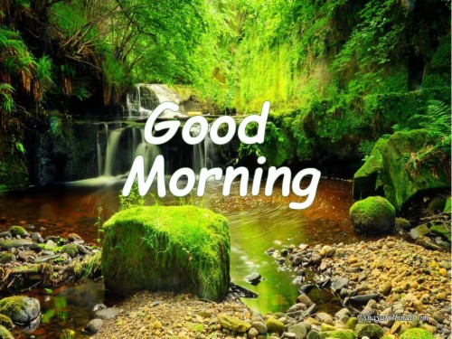 Good Morning Full Hd Wallpaper - Good Morning Beautiful Coffee ...