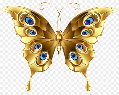 Black Golden Butterfly Wallpaper Hd Done Right