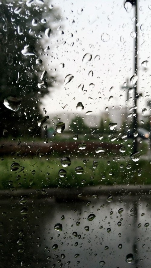 Rain Live Wallpaper With Sounds (#2454028) - HD Wallpaper & Backgrounds ...