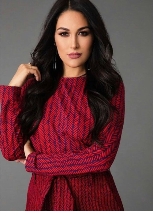 Wwe Brie Bella (#2461721) - HD Wallpaper & Backgrounds Download