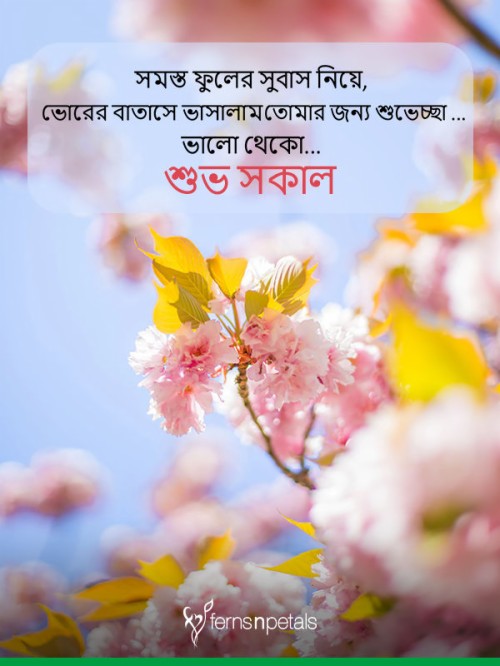 Good Morning Sms In Bengali Font 814356 Hd Wallpaper