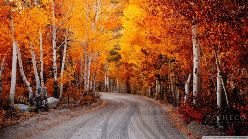 Fall In California Background (#2518240) - HD Wallpaper & Backgrounds ...