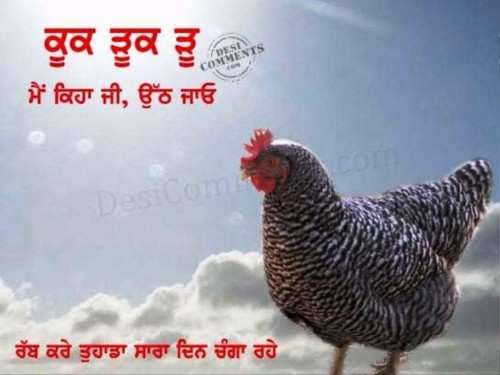 Main Keha Ji Uth Jao Good Morning Wallpaper In Punjabi 273689