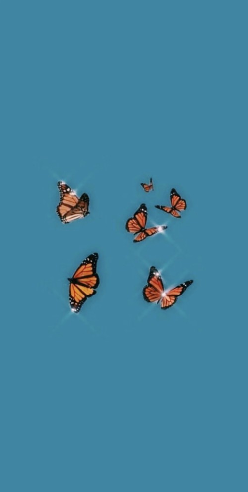 Asthetic Butterfly Pinterest Wallpaper - pic-doozy