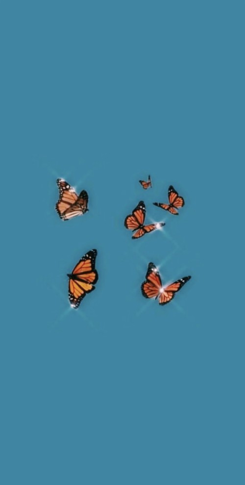 Butterfly Vsco Wallpaper - Aesthetic Profile Pictures For Tiktok