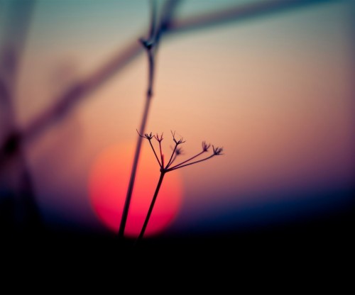 Hola Launcher (#2852791) - HD Wallpaper & Backgrounds Download