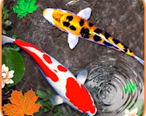 Download Download - Bass Fishing On Itl.cat