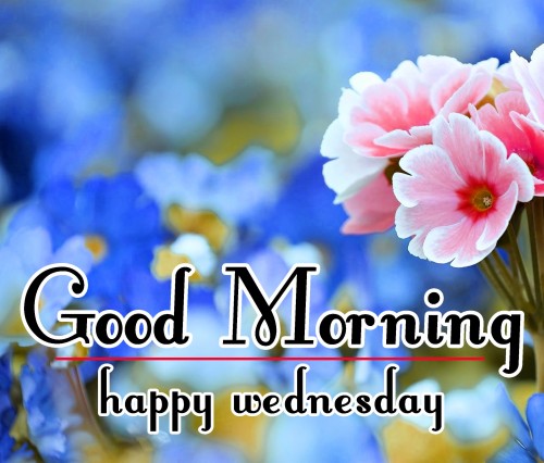 Download - Good Morning Happy Wednesday God Bless You (#1880089) - HD ...