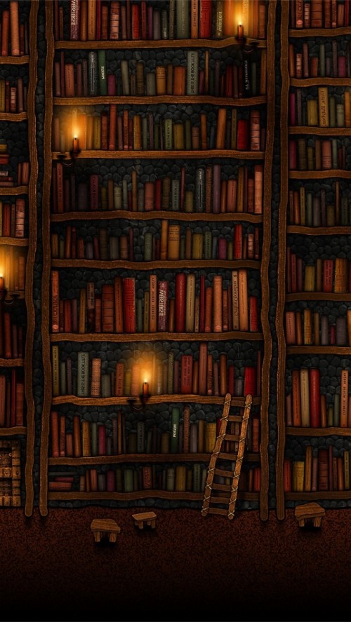 Tall Bookshelves Wallpaper 4672 Old Library 748 Hd Wallpaper Backgrounds Download