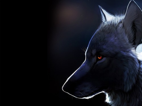 Featured image of post Cool Neon Wolf Backgrounds Cool rainbow wolf wallpapers wolf wallpaperspro