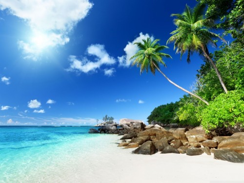 Tropical Beach Paradise 4k Hd Desktop Wallpaper For - Tropical Beach ...