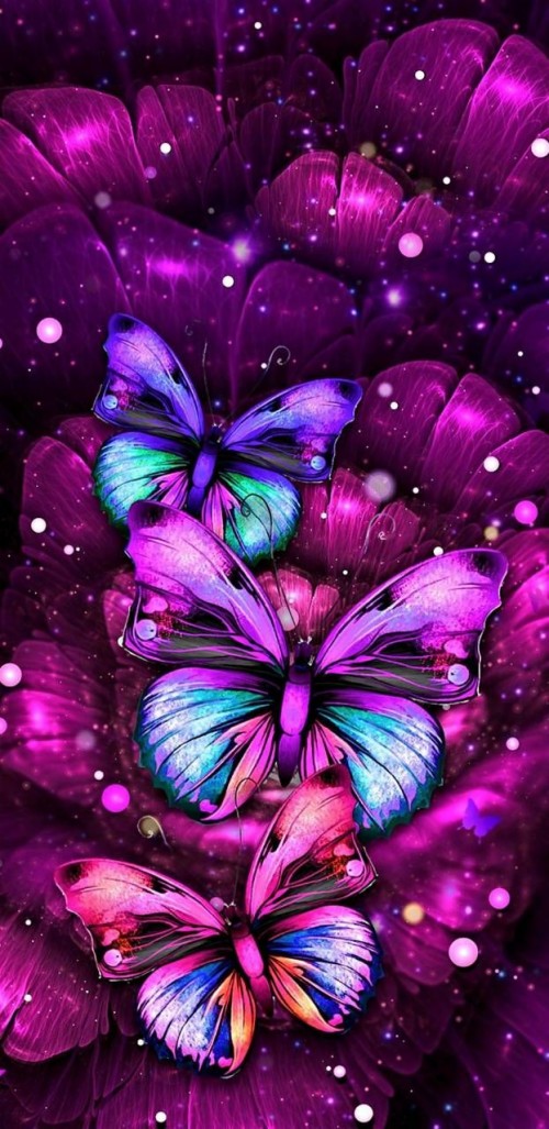 Download Butterfly Wallpaper - Fondos De Pantalla Mariposas On Itl.cat