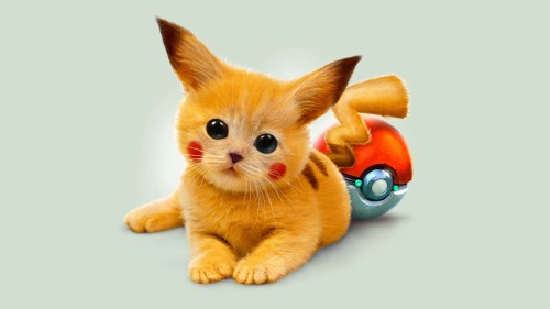 Casa do Artesão :: Pokemon - Charmander - Pequeno - P619 [M4197]