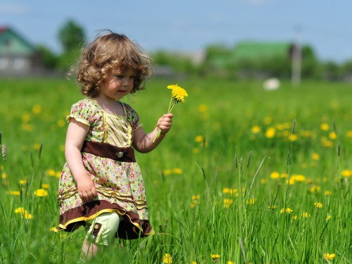 Little Girl With Flower (#2953155) - HD Wallpaper & Backgrounds Download