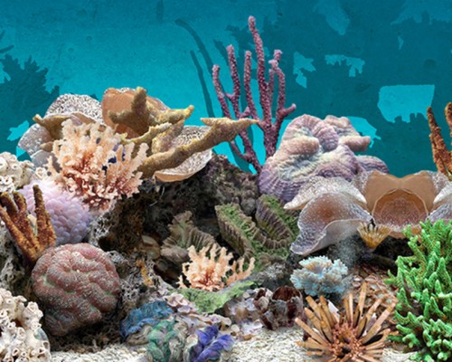 Download Aquarium Live Wallpaper For Pc Free Download (#524486) - HD ...