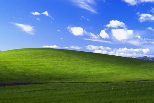 Bliss Windows Xp Lucky Star Windows Xp 1696733 Hd Wallpaper Backgrounds Download - bliss lucky star windows xp roblox