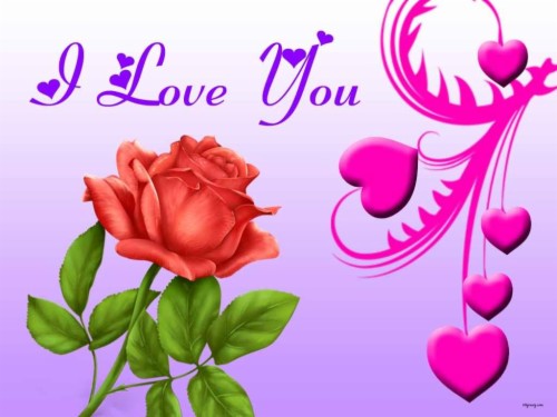 I Love You - Rose I Love You (#36254) - HD Wallpaper & Backgrounds Download