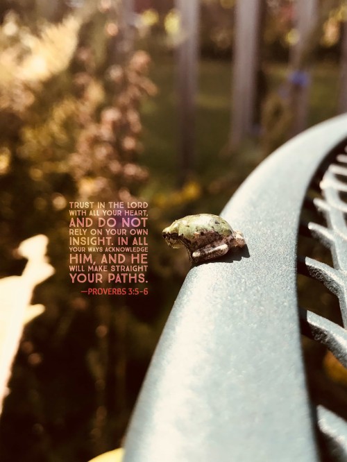 Trust Wallpaper (#3002753) - HD Wallpaper & Backgrounds Download