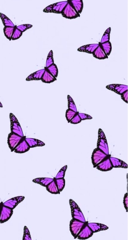 Butterfly Vsco Wallpaper - Aesthetic Profile Pictures For ...